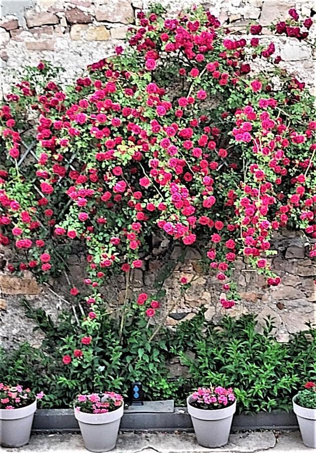 Location-Meuble Daire Issenheim Dış mekan fotoğraf